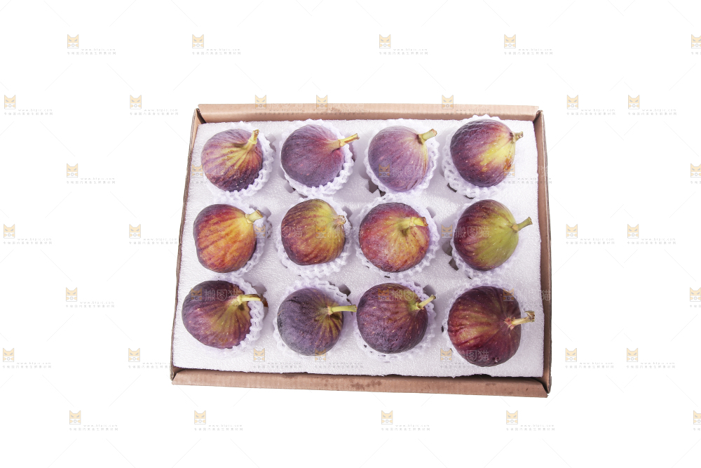 白底上的新鲜无花果