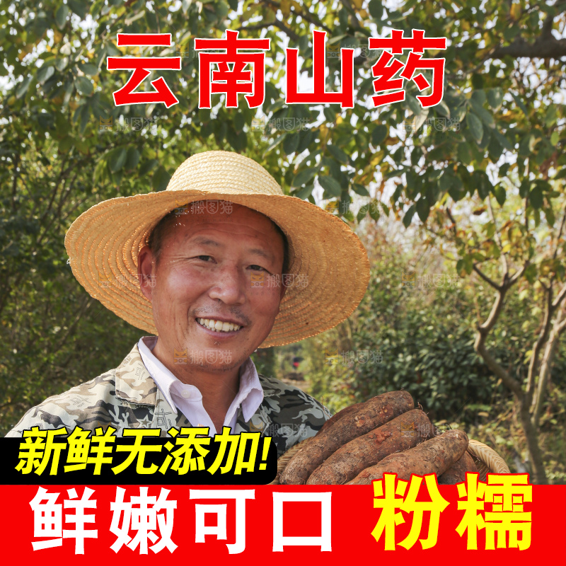 手里拿着云南山药