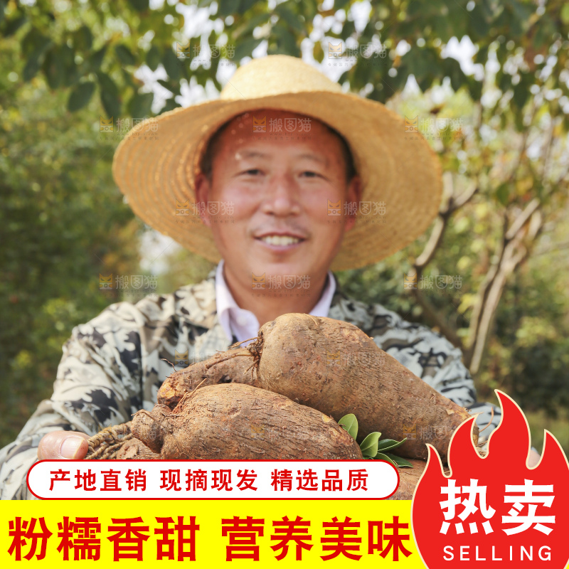 手里拿着云南山药