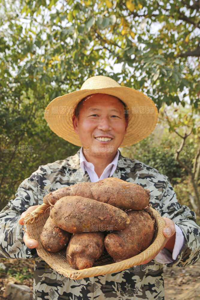 手里拿着云南山药