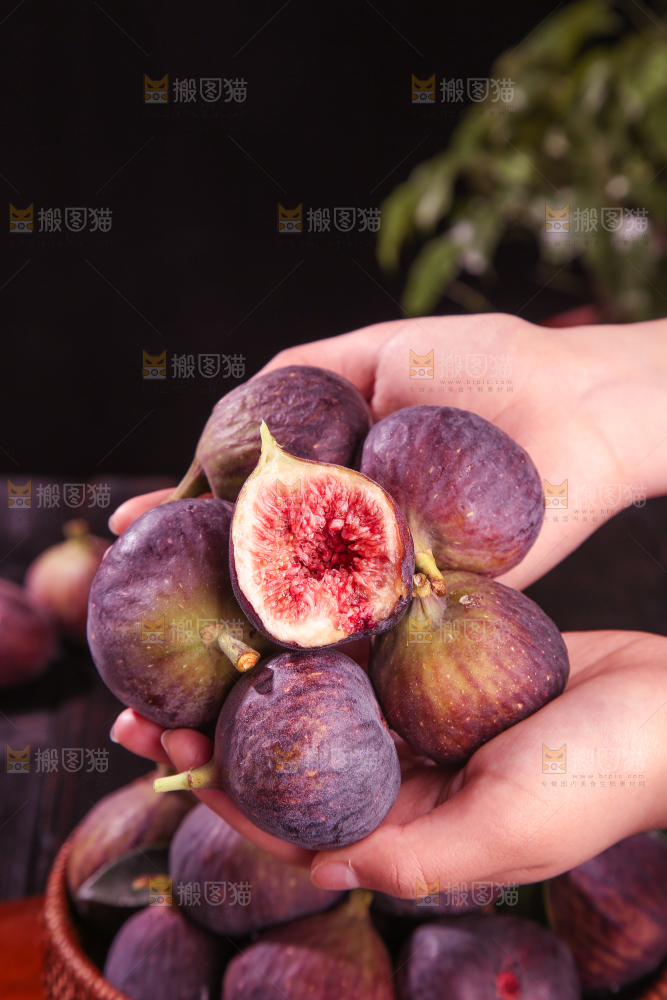 无花果