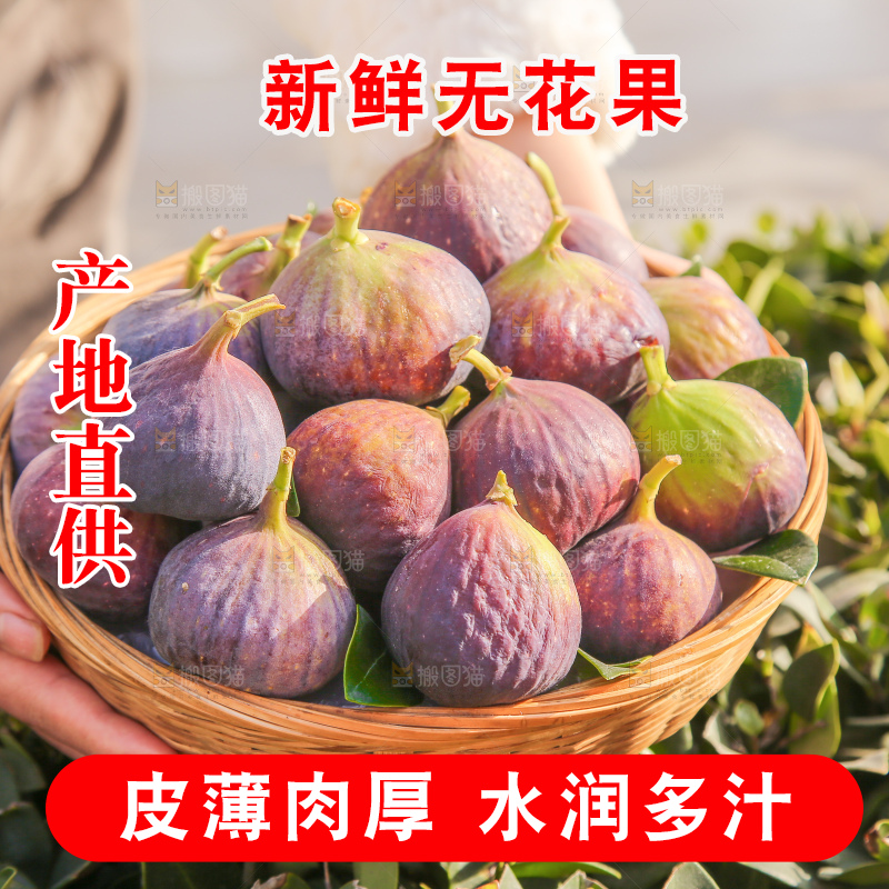 手里拿着无花果