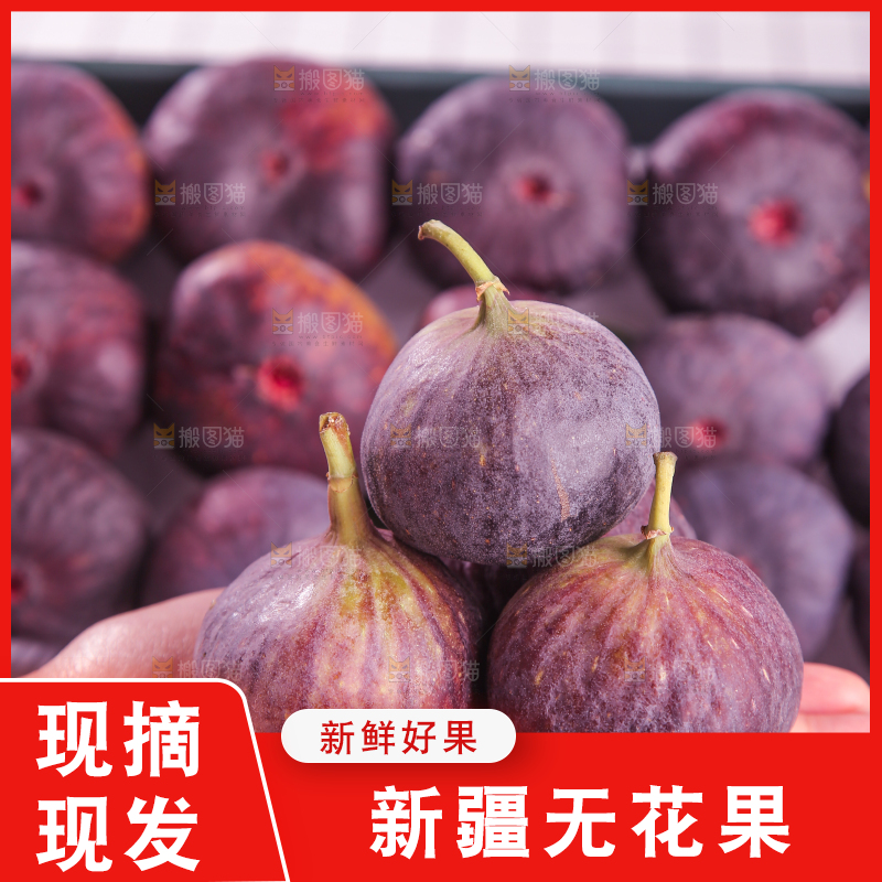浅底上的无花果
