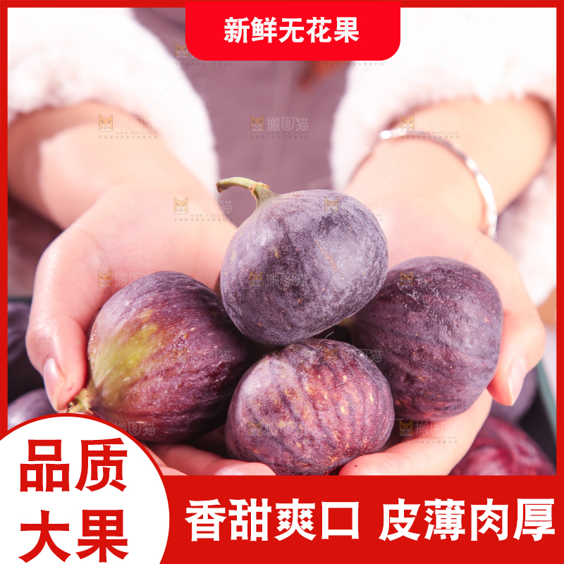 浅底上的无花果