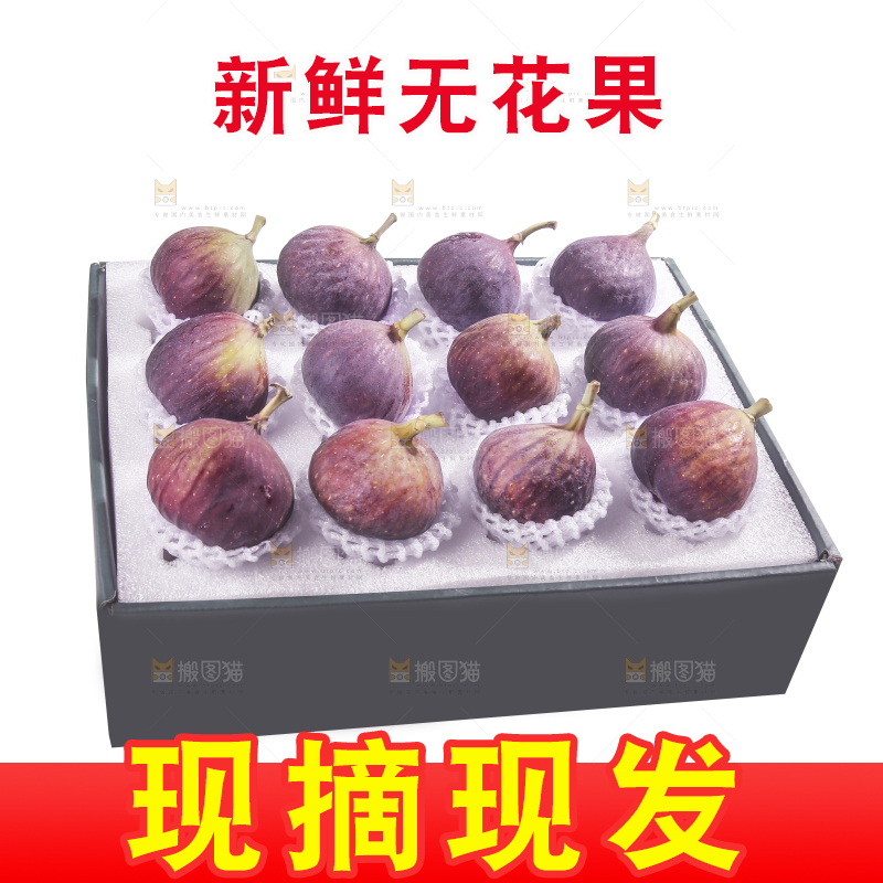白底上的新鲜无花果