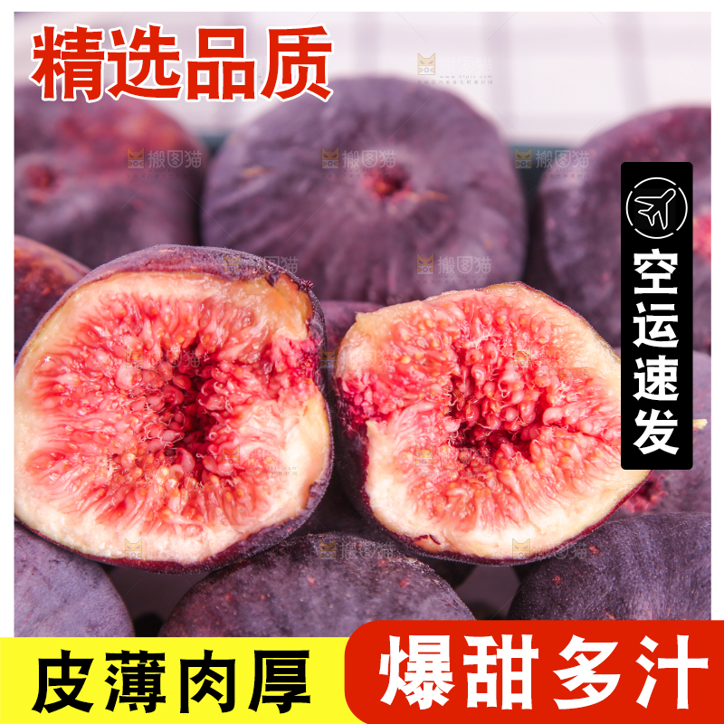 浅底上的无花果