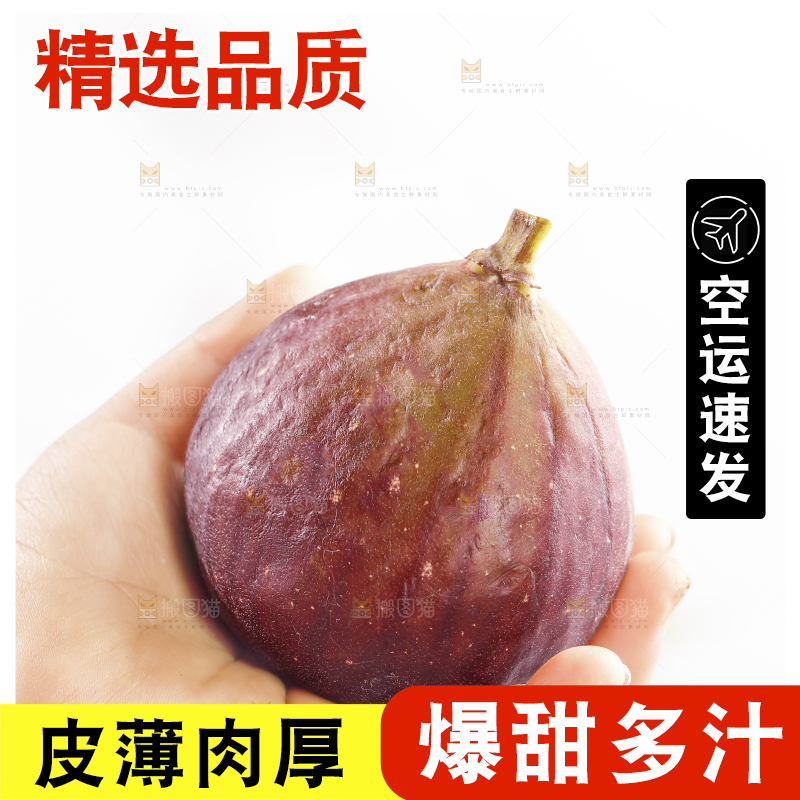 浅底上的无花果