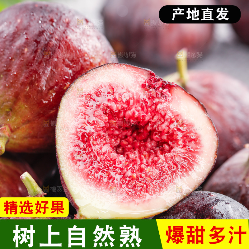 无花果主图