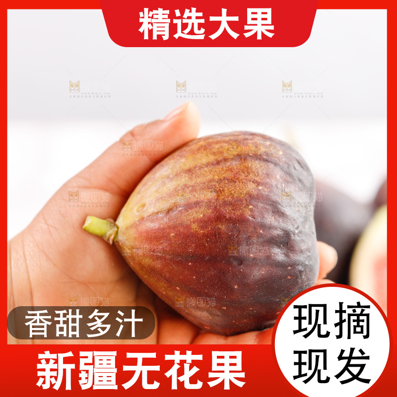 浅底上的无花果
