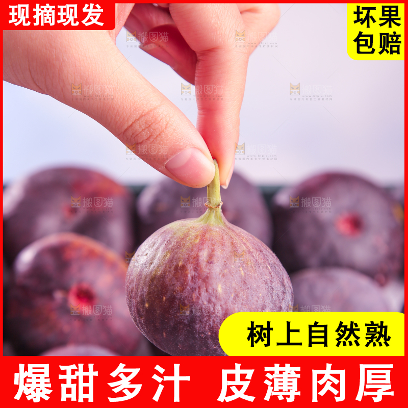浅底上的无花果