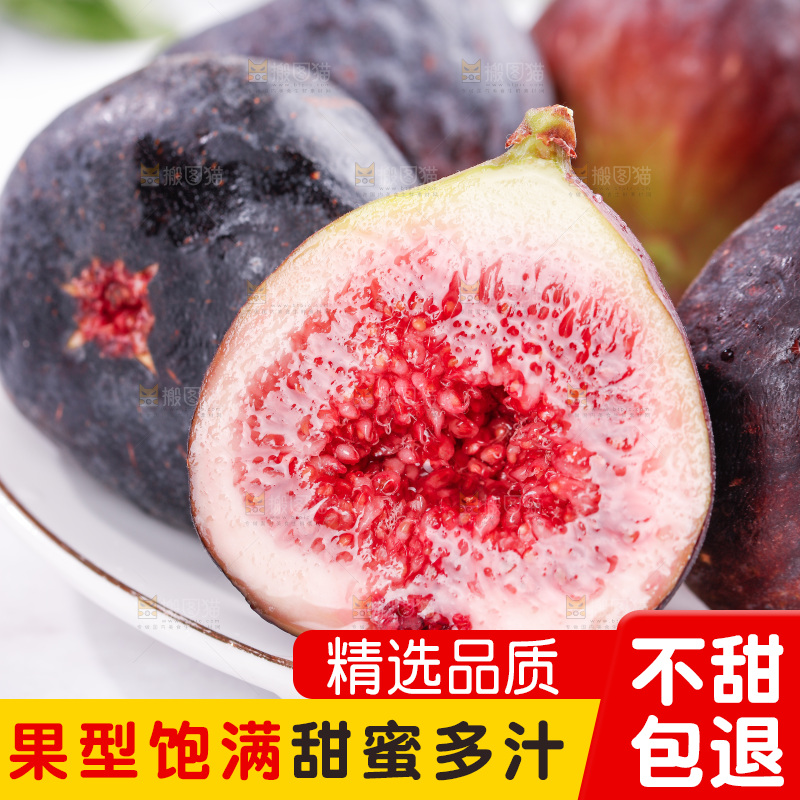 浅底上的无花果