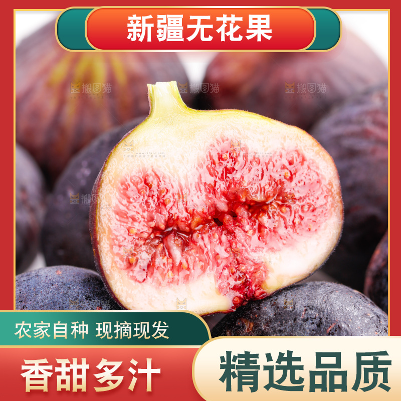 浅底上的无花果