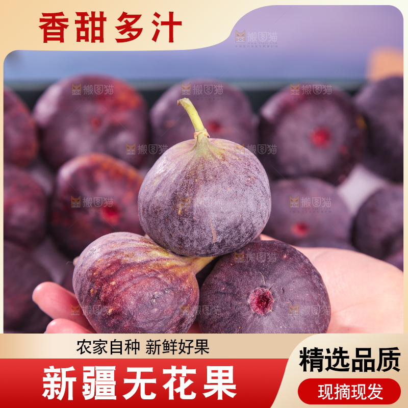 浅底上的无花果