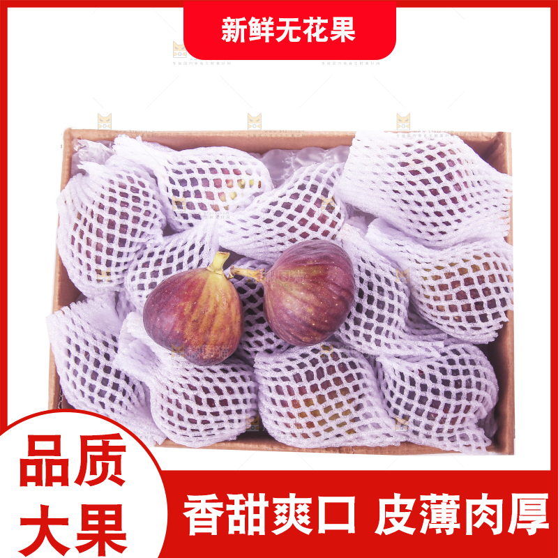 白底上的新鲜无花果