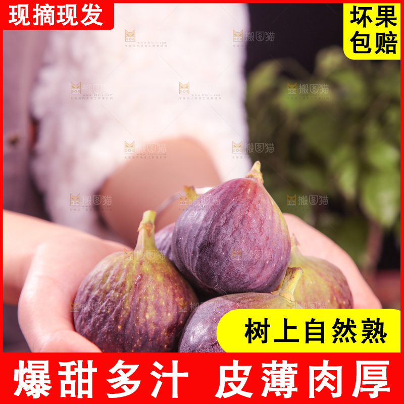 深底上的无花果