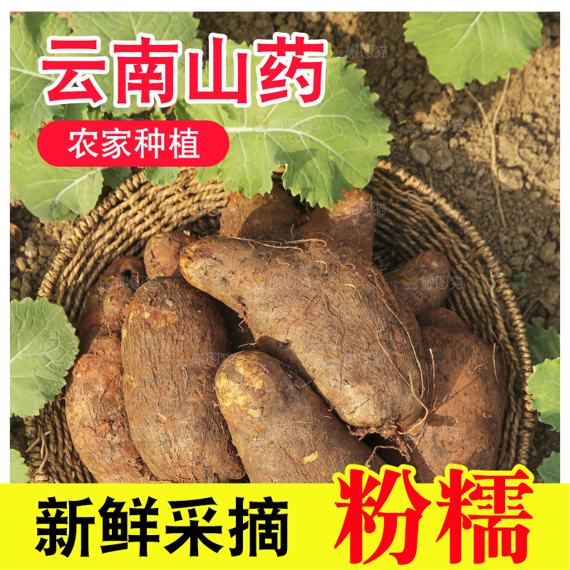 手里拿着云南山药