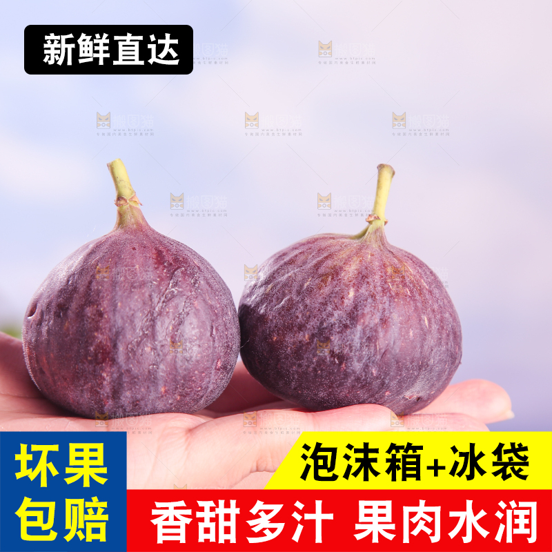 浅底上的无花果