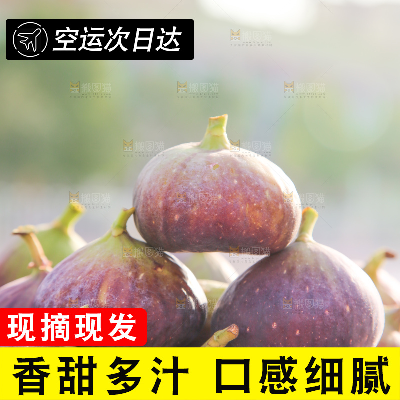 手里拿着无花果