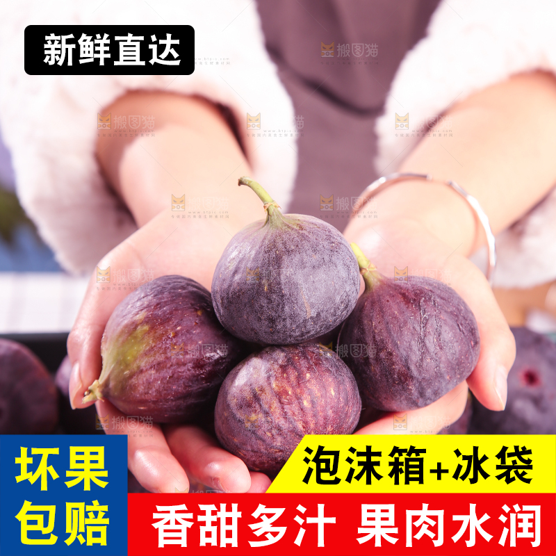浅底上的无花果