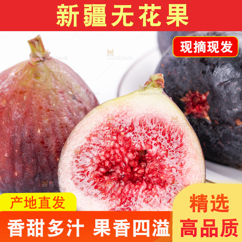 浅底上的无花果