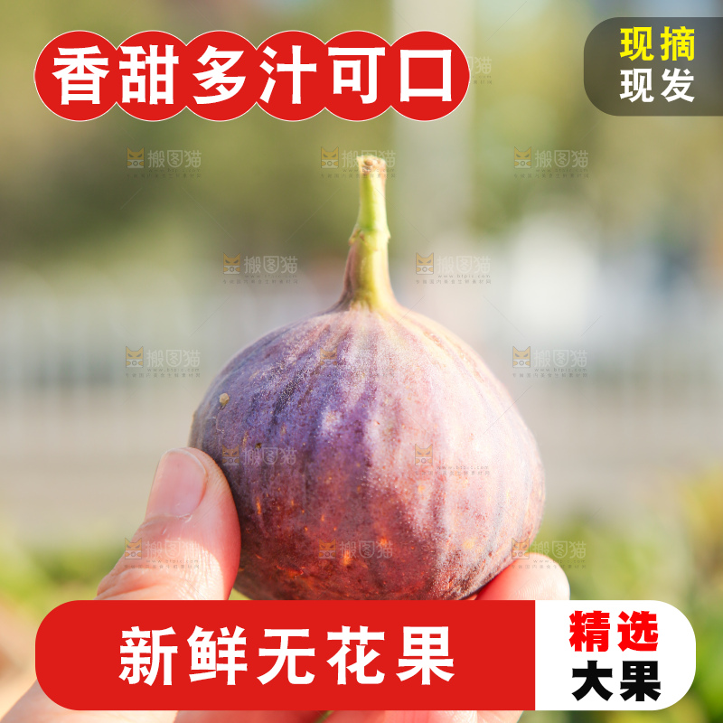 手里拿着无花果