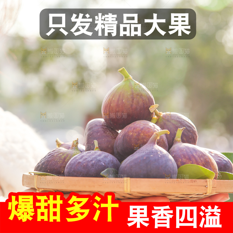 手里拿着无花果