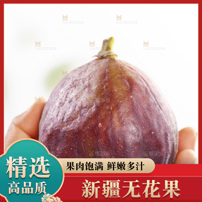 浅底上的无花果