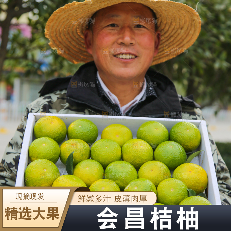 手里拿着建阳桔柚