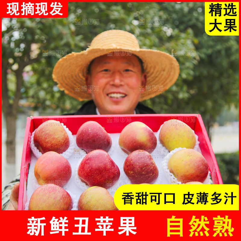手里拿着丑苹果