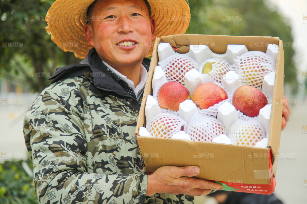 手里拿着丑苹果