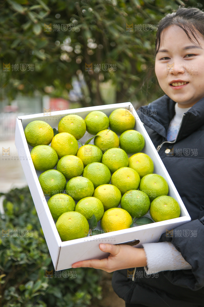 手里拿着建阳桔柚