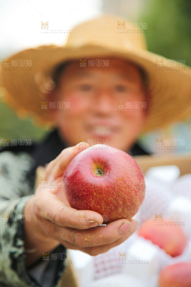 手里拿着丑苹果