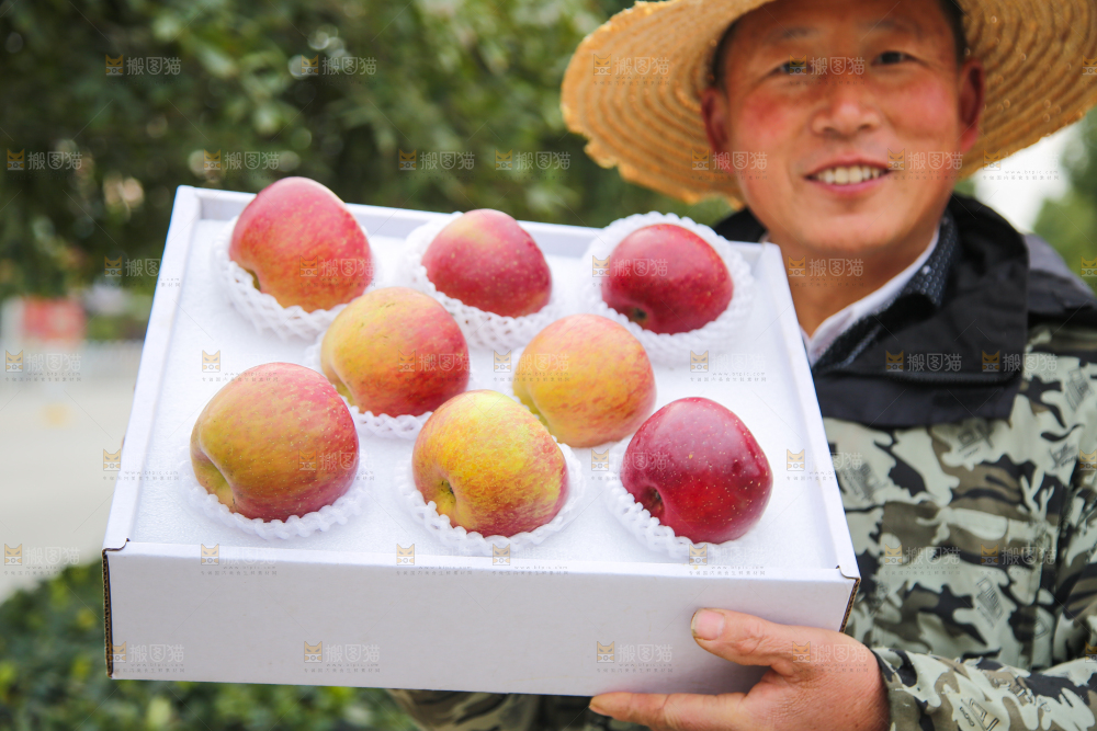 手里拿着丑苹果