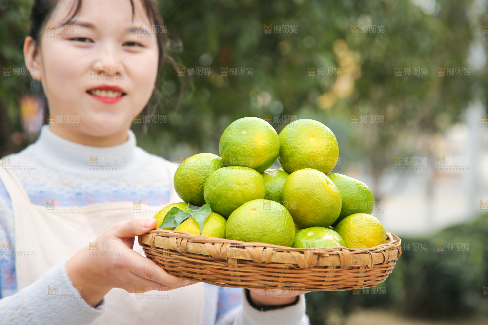 手里拿着建阳桔柚