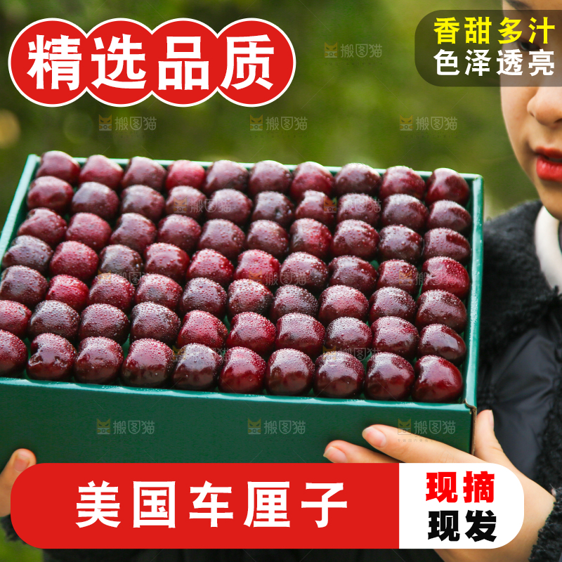手里拿着车厘子