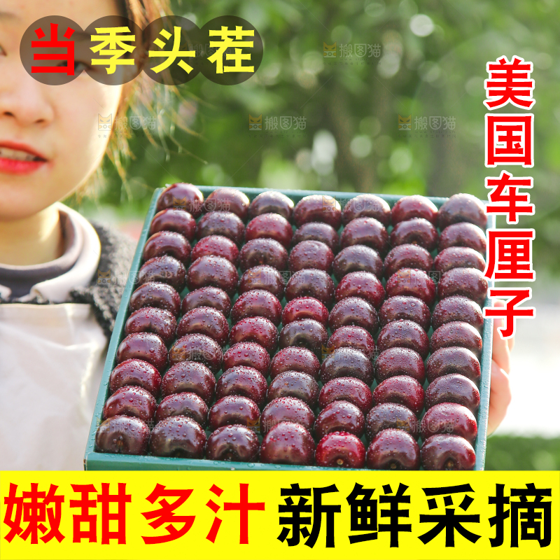 手里拿着车厘子