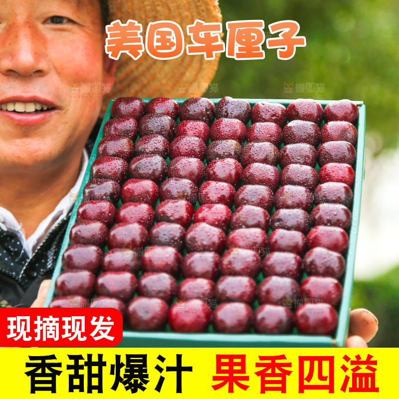 手里拿着车厘子