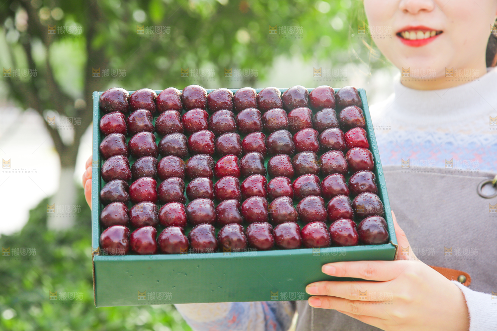 手里拿着车厘子