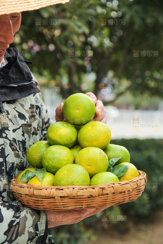 手里拿着建阳桔柚