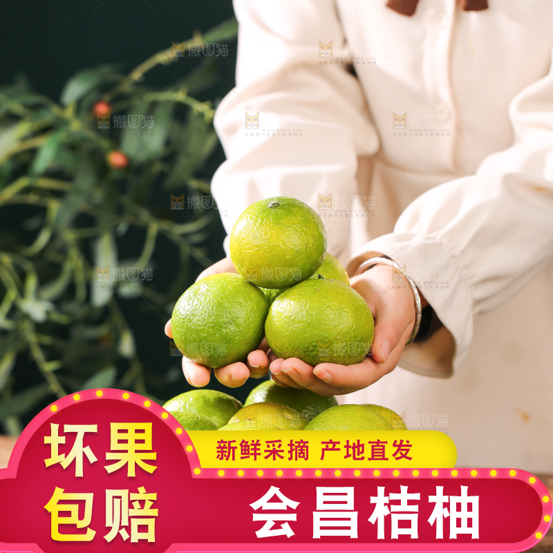 深底上的建阳桔柚