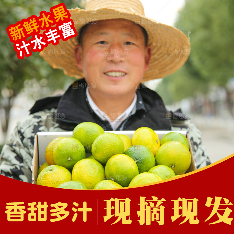 手里拿着建阳桔柚