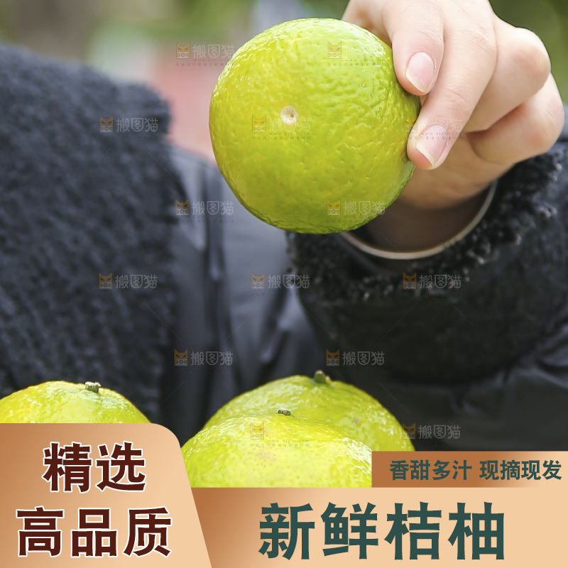 手里拿着建阳桔柚
