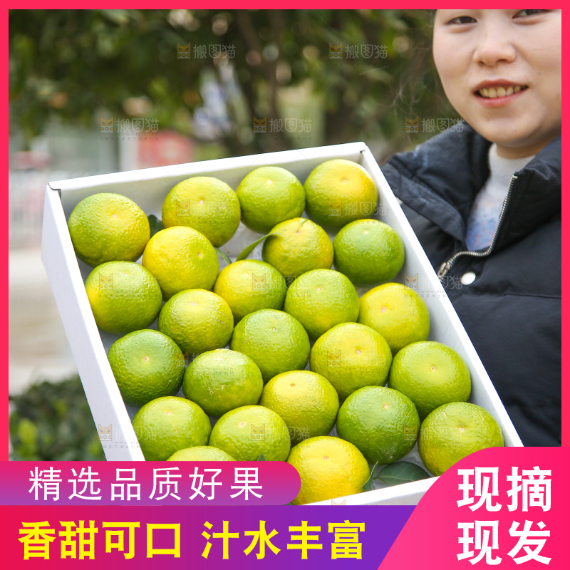 手里拿着建阳桔柚
