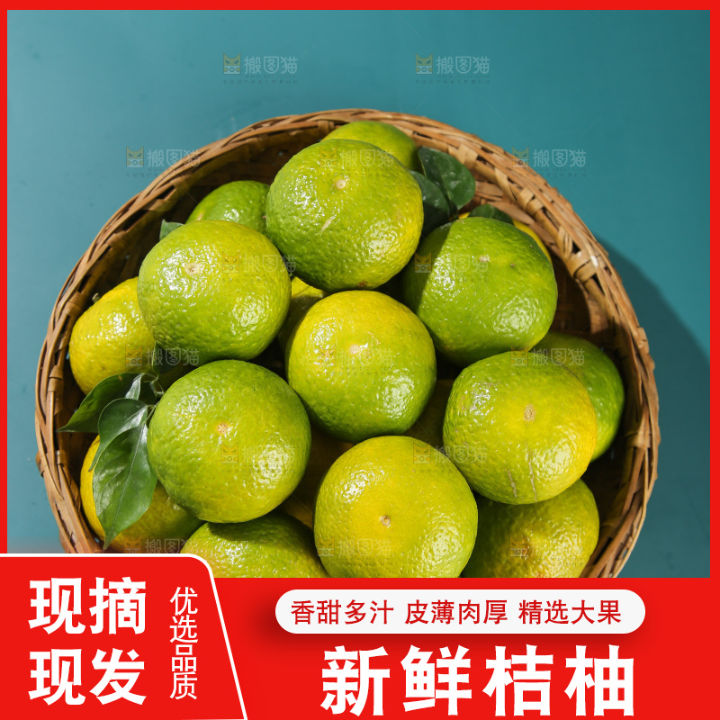 深底上的建阳桔柚