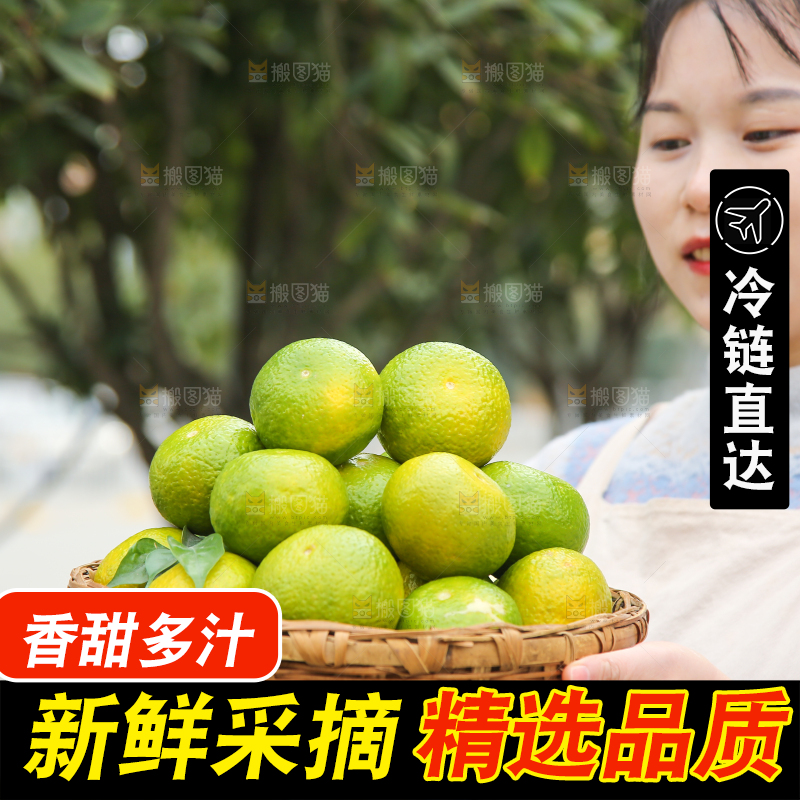 手里拿着建阳桔柚