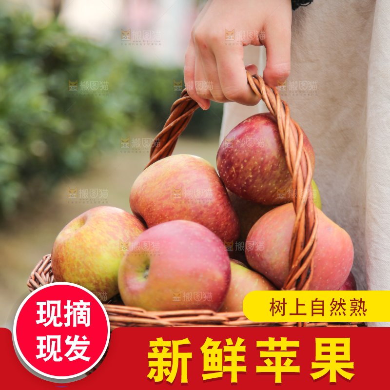 手里拿着丑苹果