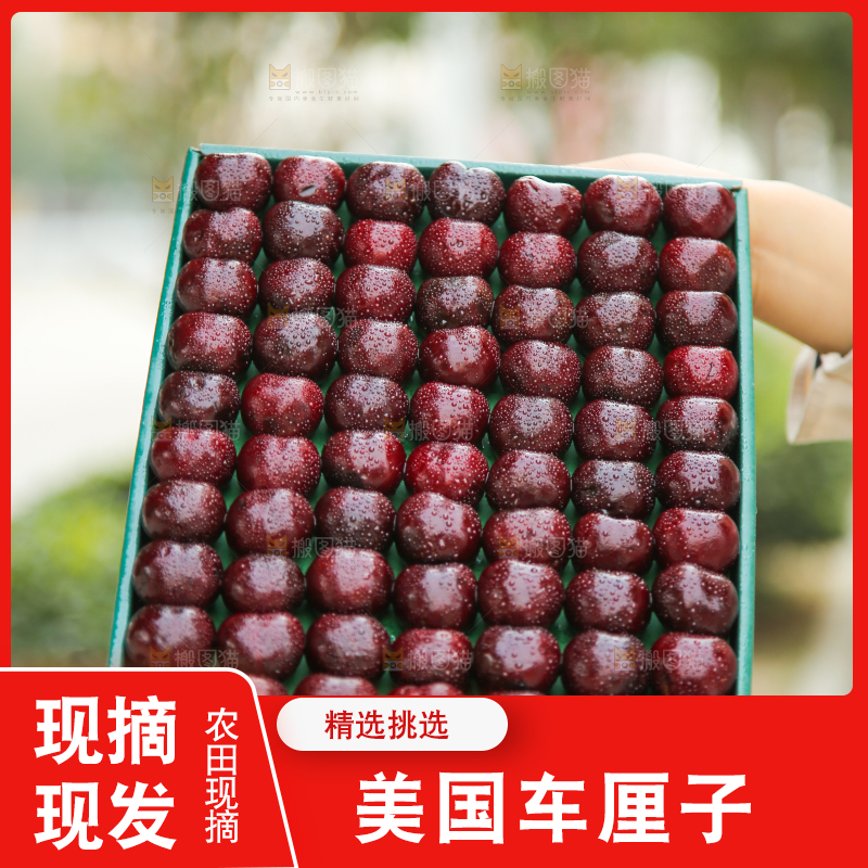 手里拿着车厘子
