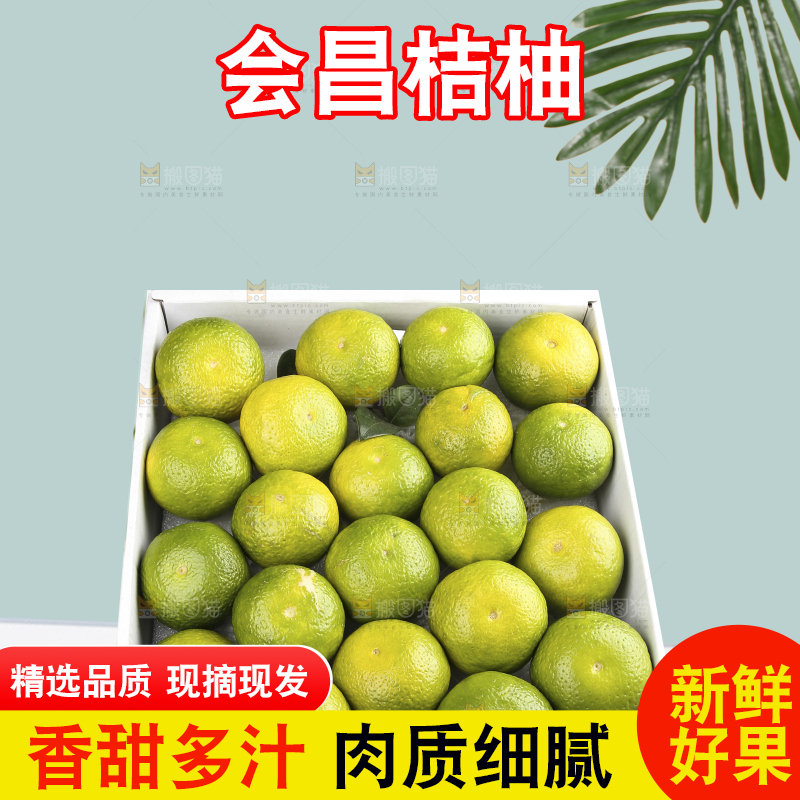 深底上的建阳桔柚