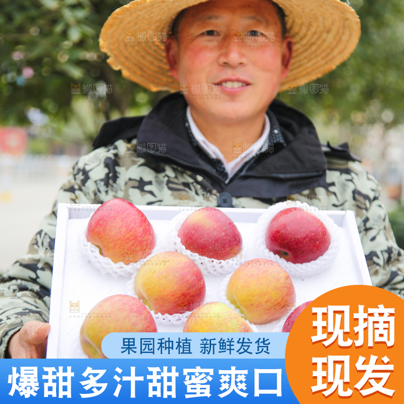 手里拿着丑苹果