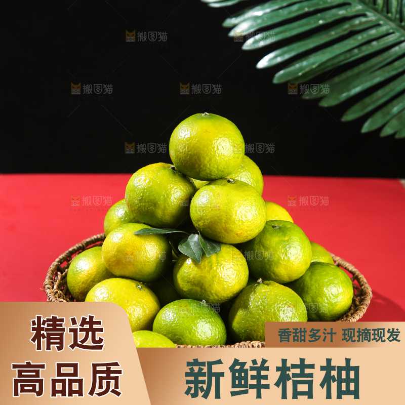 深底上的建阳桔柚